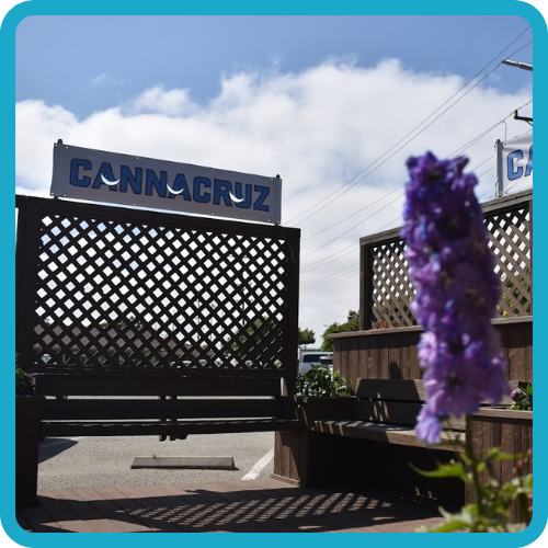 Our Stores CANNACRUZ our-stores-cannacruz